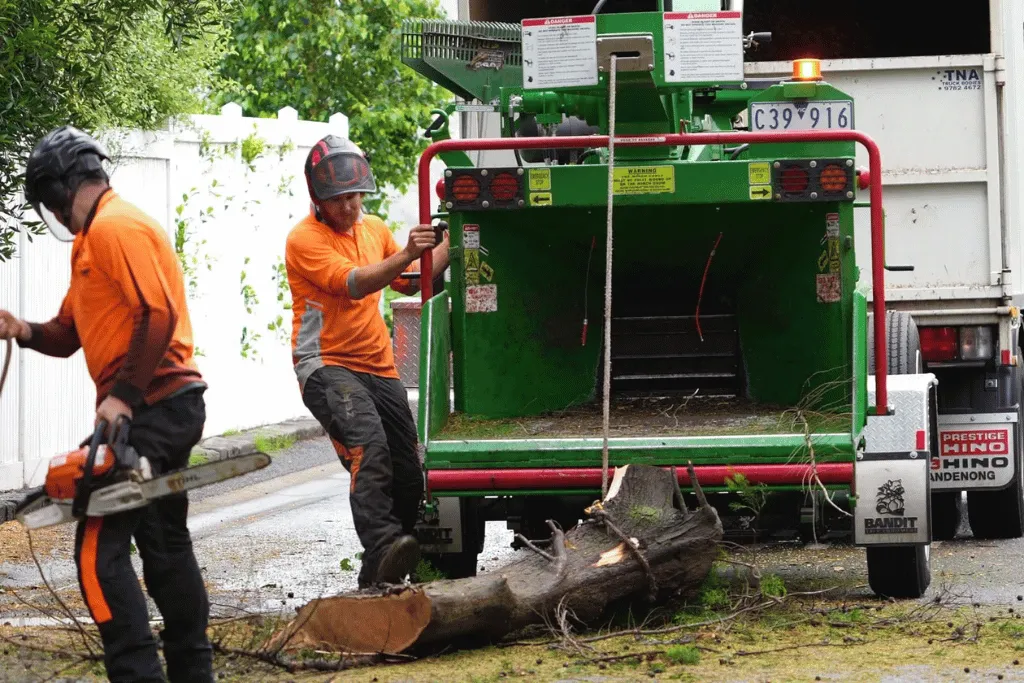 Best Tree Services Company in Jacksonville