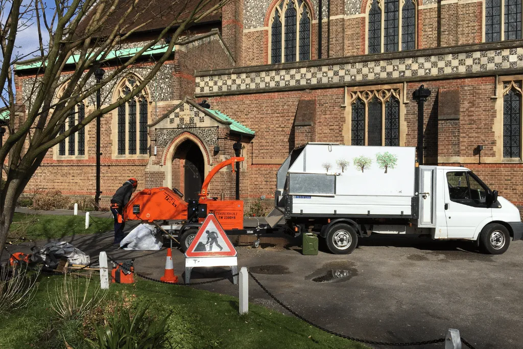 Cheap Commercial Tree Removal Services Jacksonville