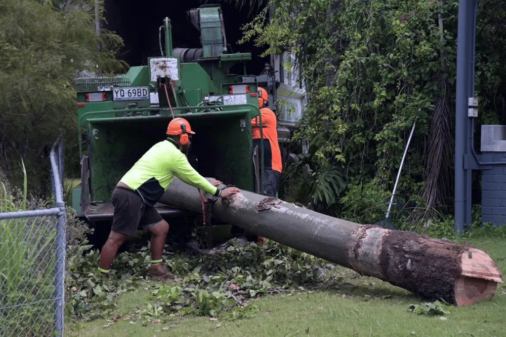 Emergency Land Clearing Tree Cutting Services in Jacksonville