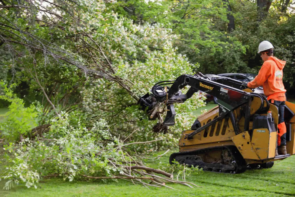 Land Clearing Tree Cutting Arborists Jacksonville