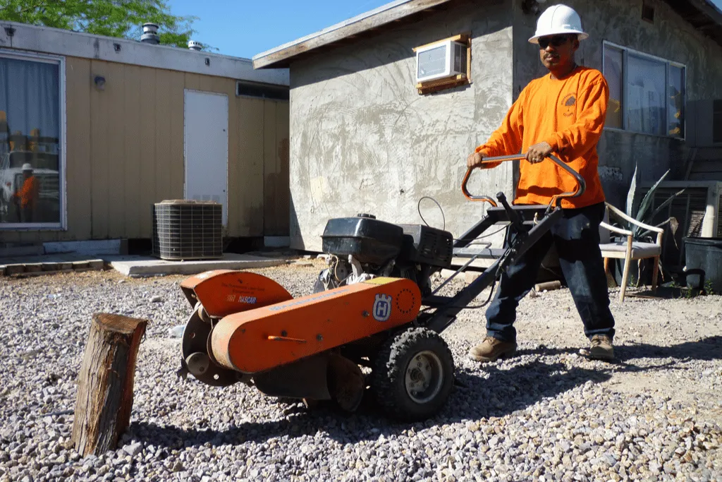 Stump Removal And Root Grinding Services Jacksonville